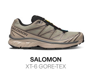 Salomon XT-6 GORE-TEX Sneakers in Khaki/Sage