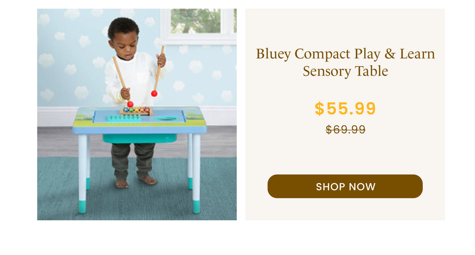 Shop Bluey Compact Play & Learn Sensory Table