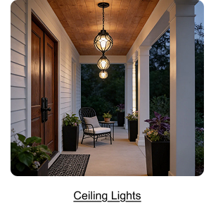 Outdoor Ceiling Lights