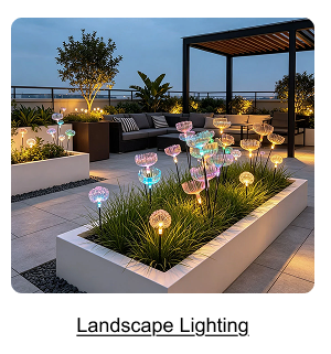 Outdoor Ceiling Lights