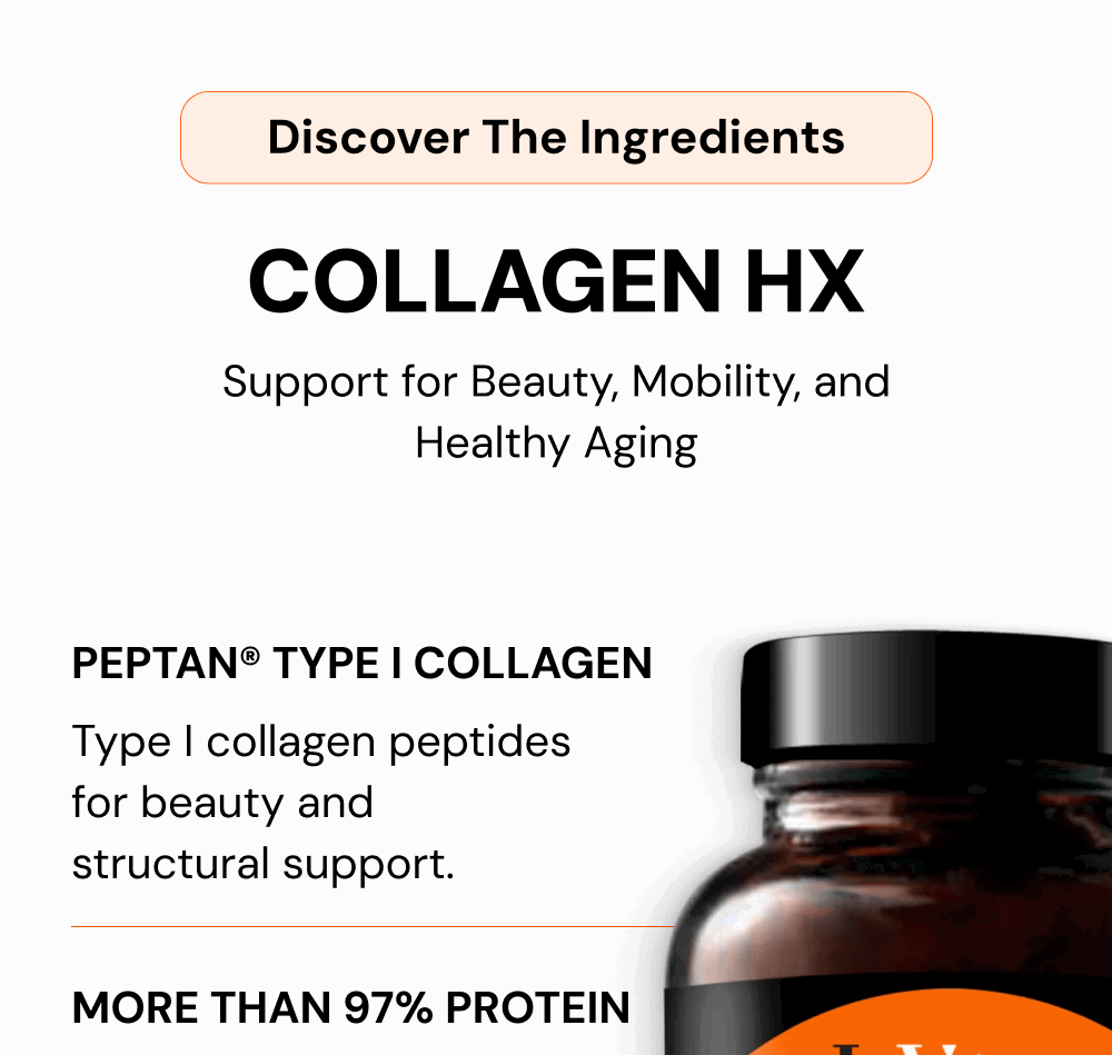 Discover The Ingredients