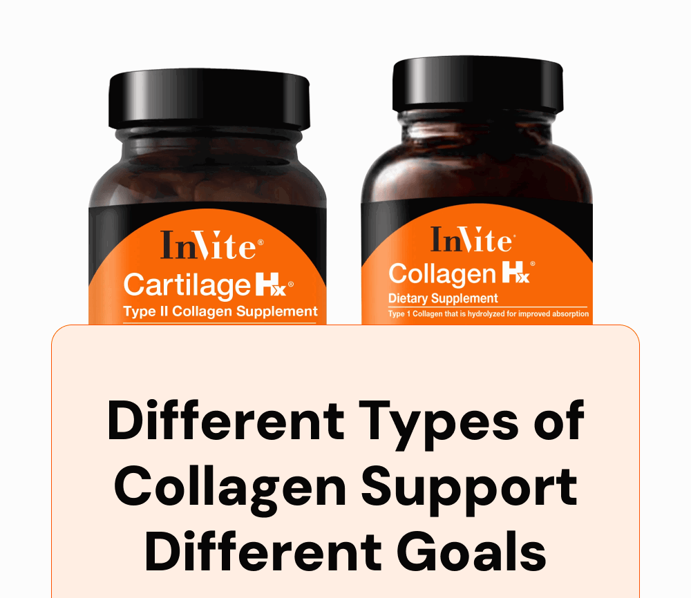 Different Types of Collagen Support