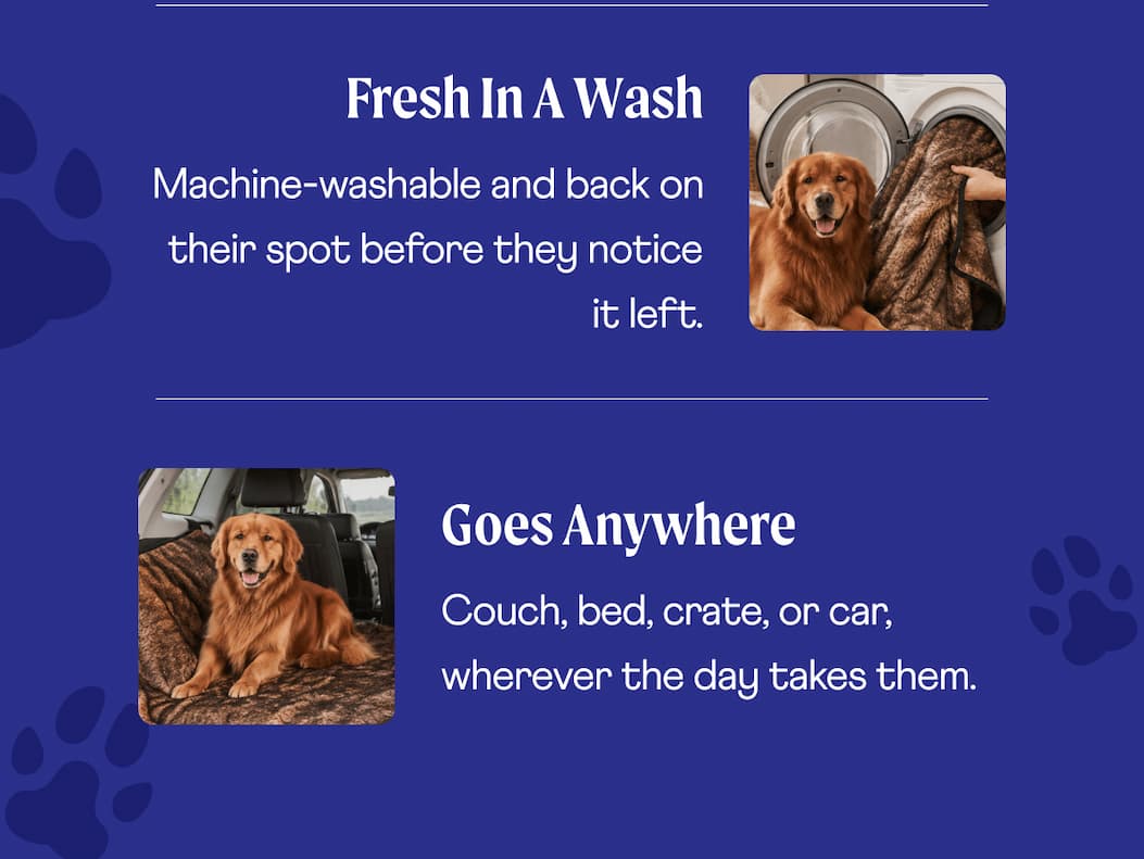 Fresh in a wash Machine-washable and back on their spot before they notice it left. | Goes anywhere Couch, bed, crate, or car, wherever the day takes them.