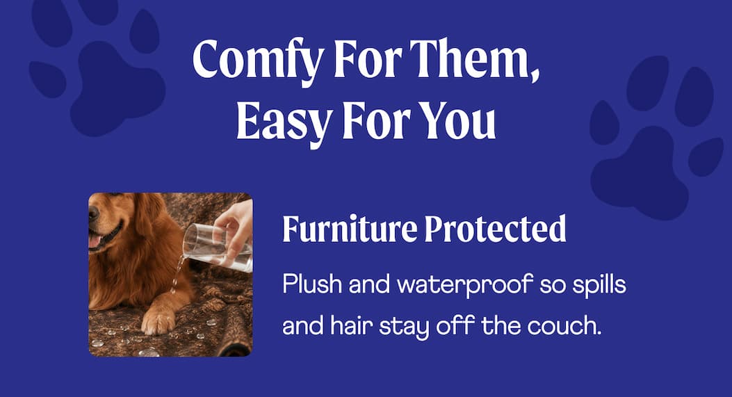 Comfy for Them, Easy for You  | Furniture Protected Plush and waterproof so spills and hair stay off the couch.