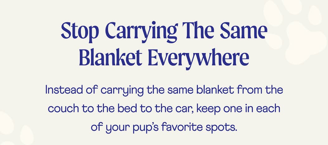 Stop Carrying The Same Blanket Everywhere  | Instead of carrying the same blanket from the couch to the bed to the car, keep one in each of your pup’s favorite spots. 