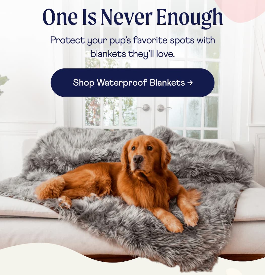 One Is Never Enough  | Protect your pup’s favorite spots with blankets they’ll love.  | Shop Waterproof Blankets →