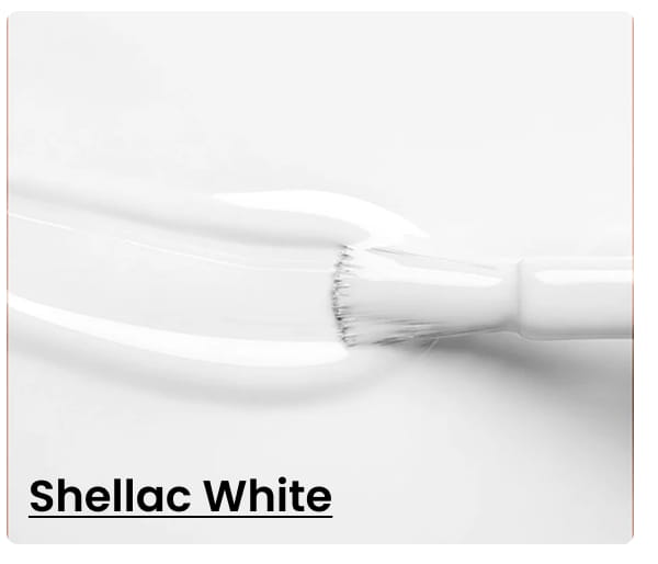 Shellac White
