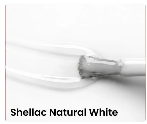Shellac Natural White