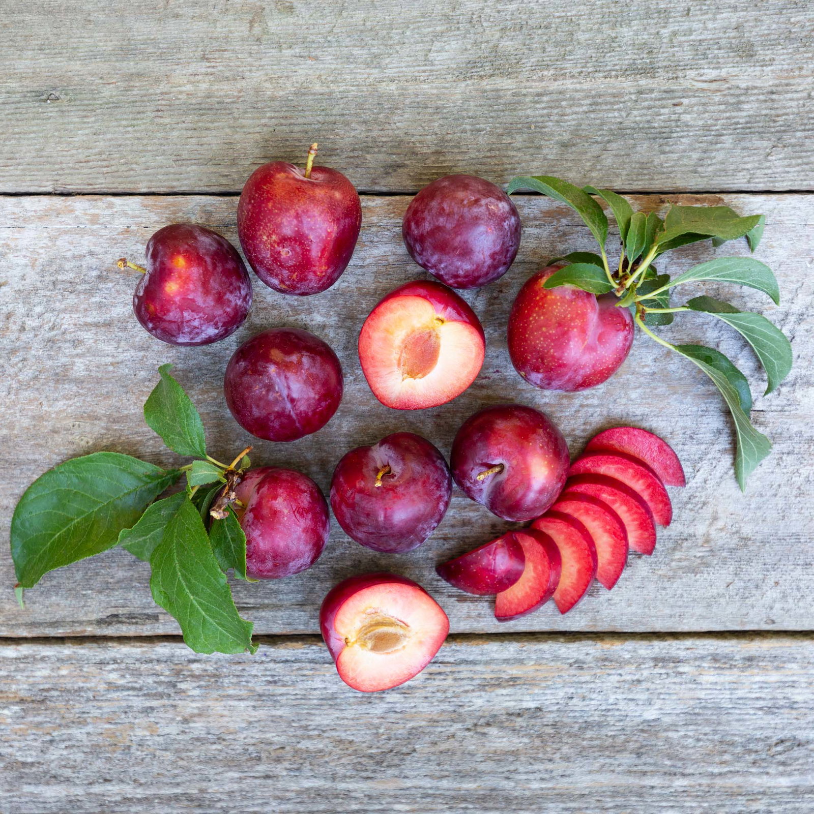 flavor king pluots