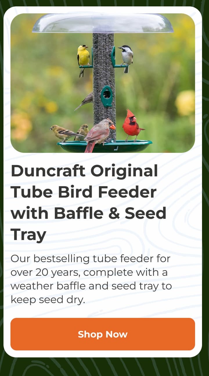 Duncraft Woodpecker Suet Shield Wrap Feeder