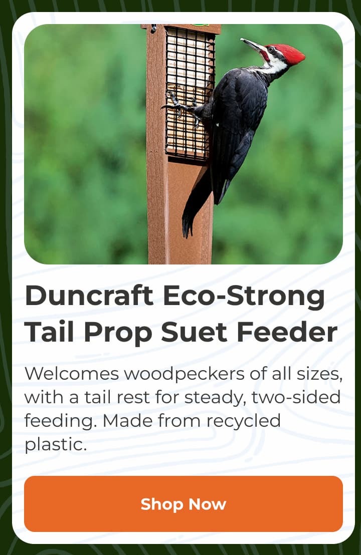 Duncraft Woodpecker Suet Shield Wrap Feeder