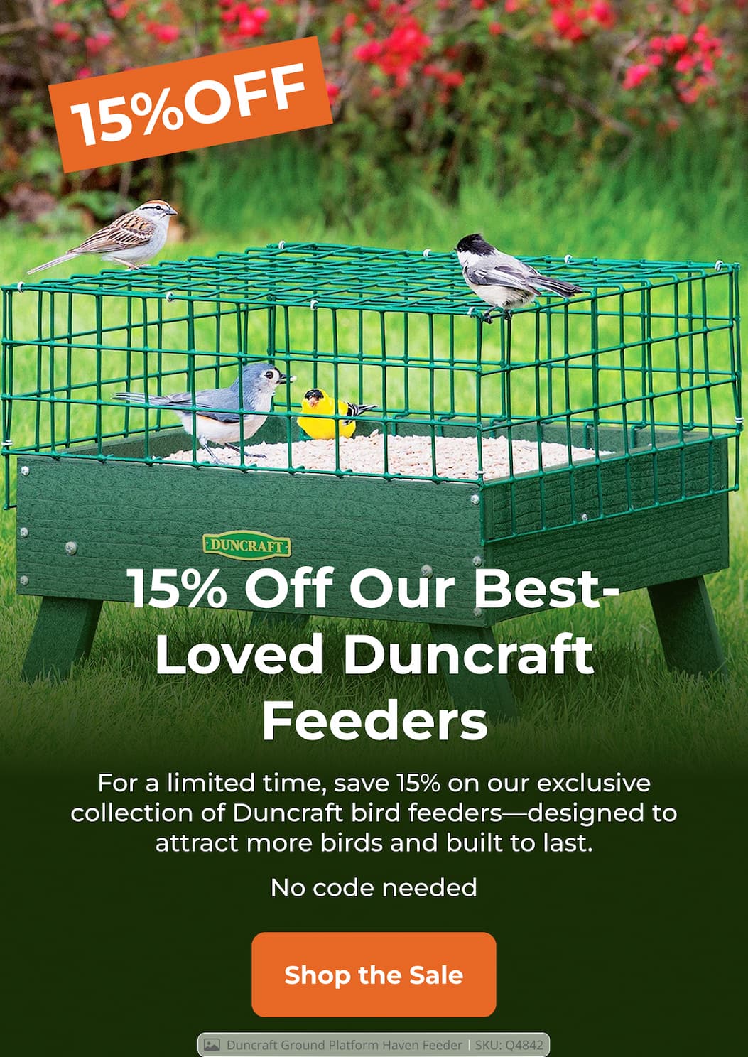 A Quiet 15% Off Your Backyard Favorites