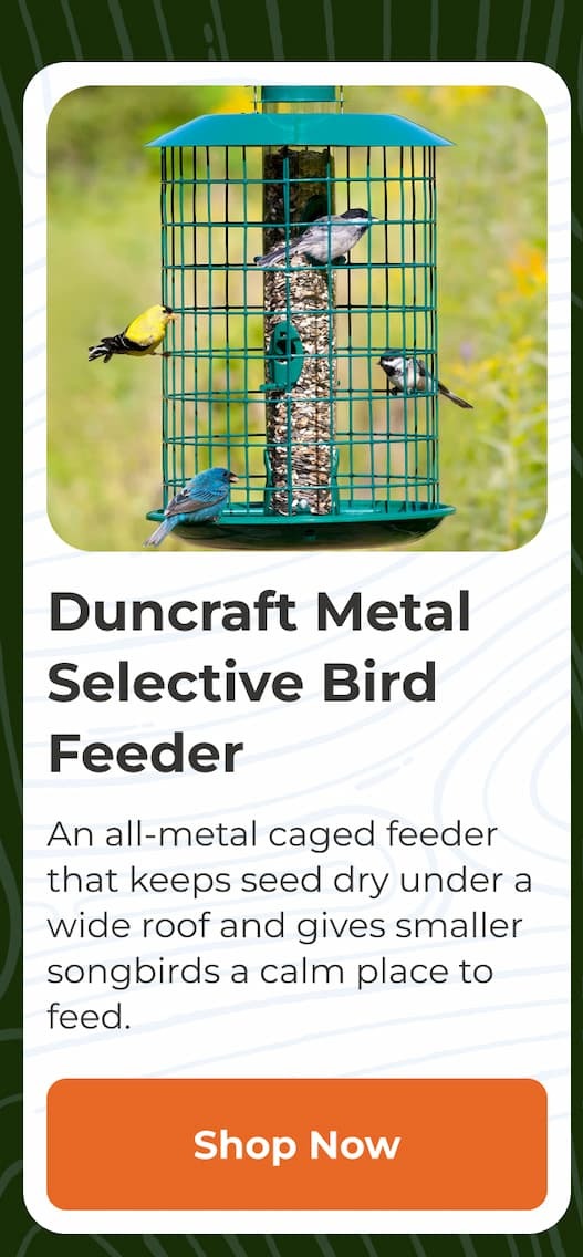 Duncraft Metal Selective Bird Feeder