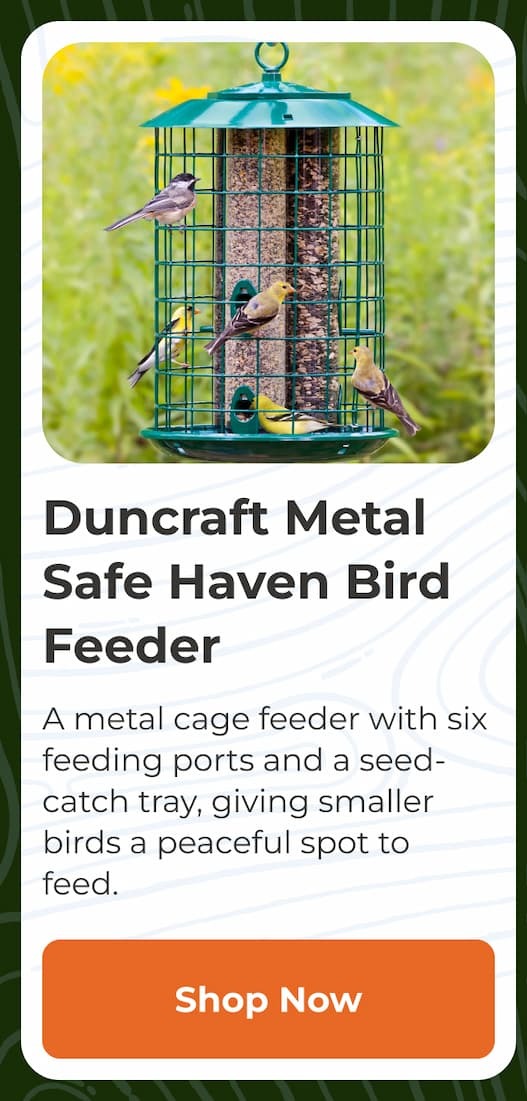 Duncraft Metal Safe Haven Bird Feeder