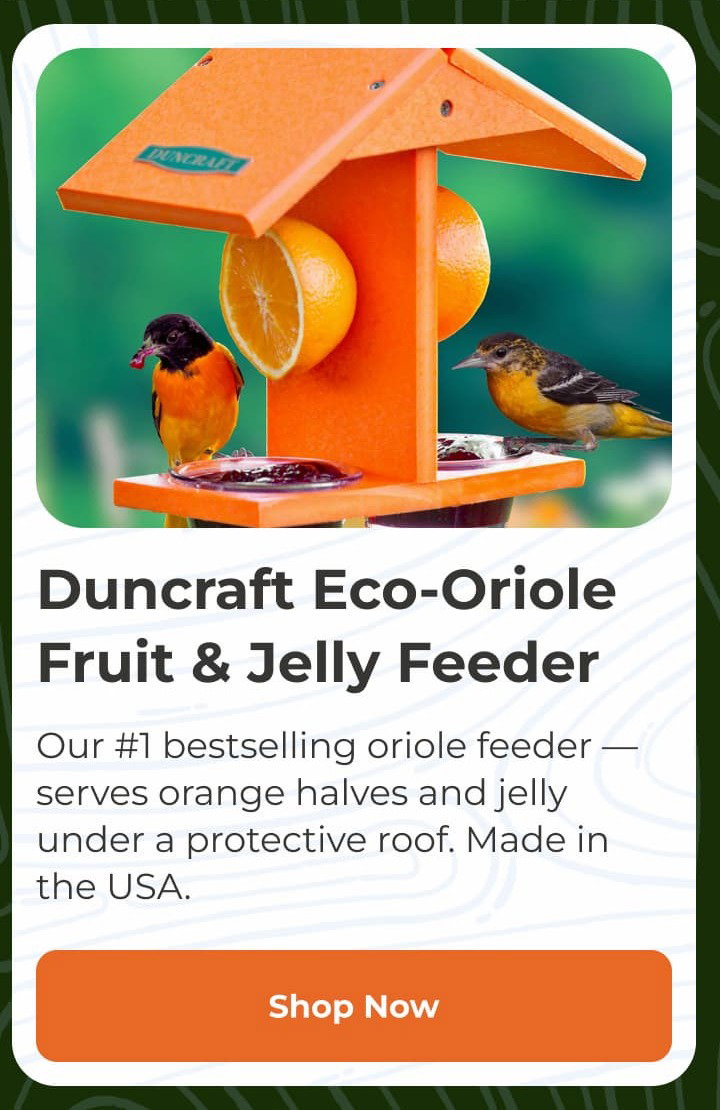 Duncraft Eco-Strong Platform Bird Feeder