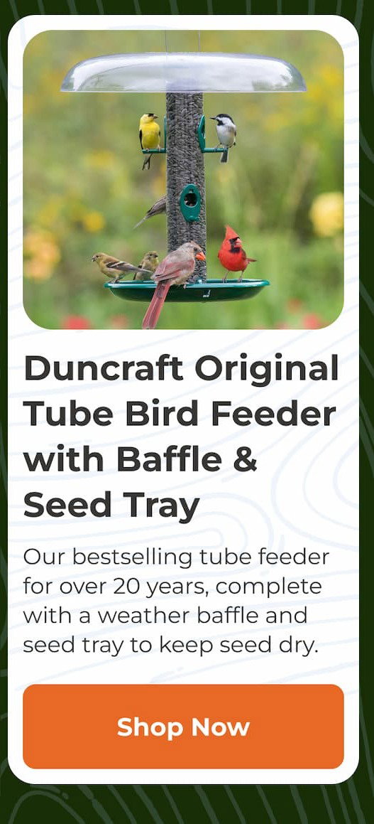 Duncraft Original Tube Bird Feeder with Baffle & Seed Tray