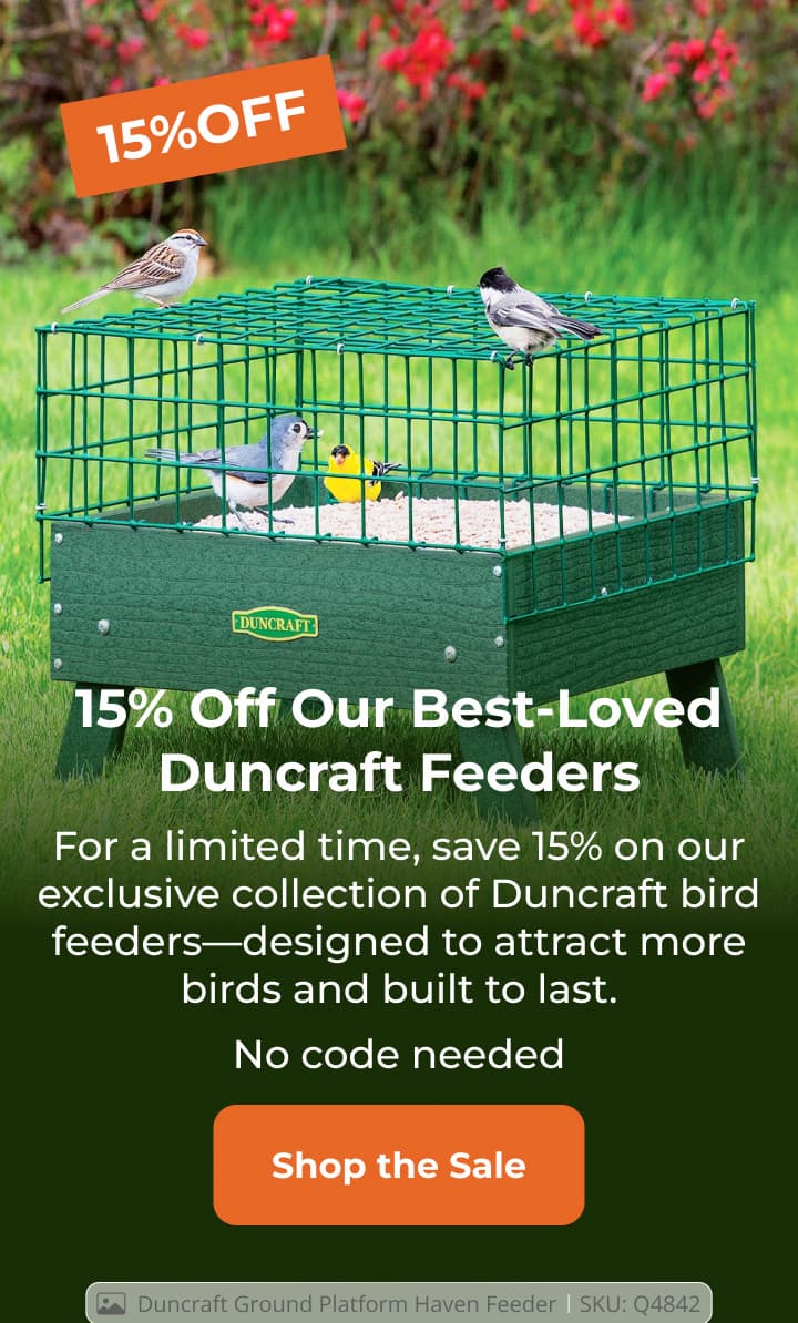 A Quiet 15% Off Your Backyard Favorites