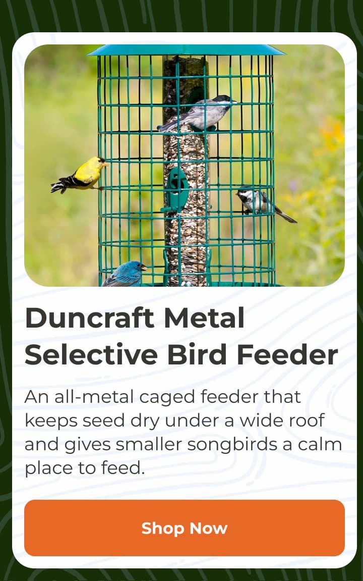 Duncraft Eco-Strong Platform Bird Feeder