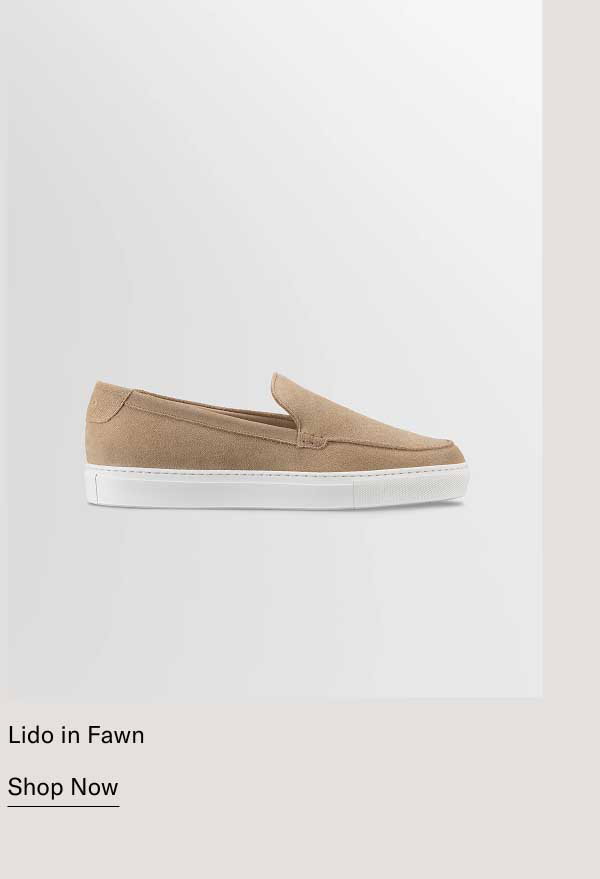 Lido in Fawn