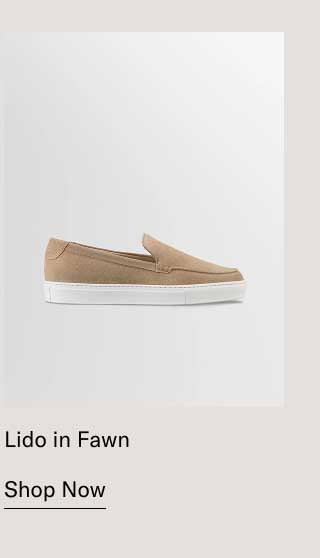 Lido in Fawn