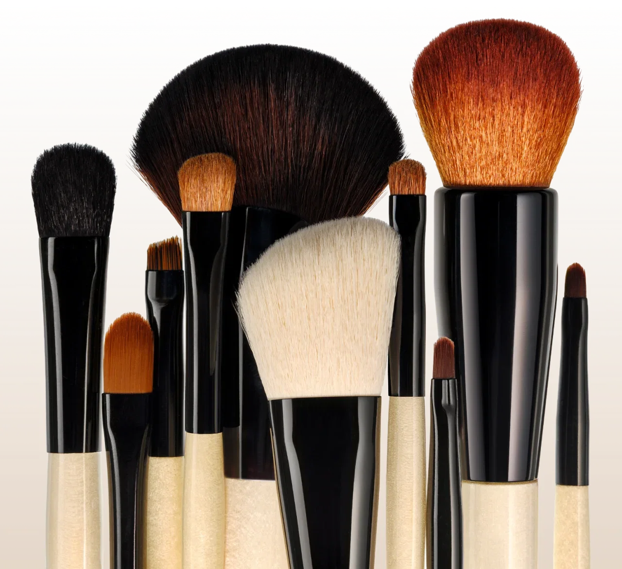 Close-up of makeup brushes in various shapes and dimensions.