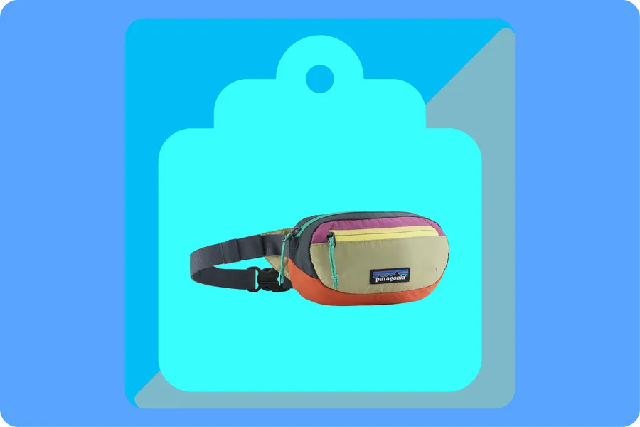 A $23 Patagonia Hip Pack in 6 Colors