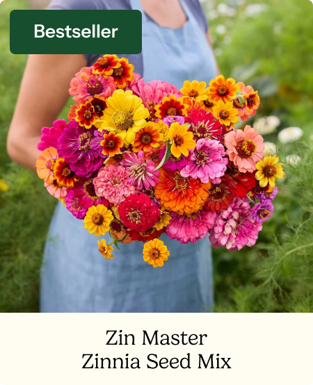 Zin Master - Zinnia Flower Seed Mix