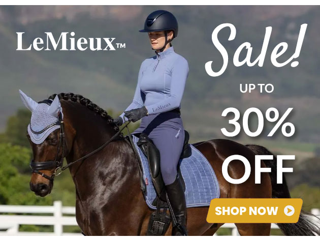 Lemieux sale