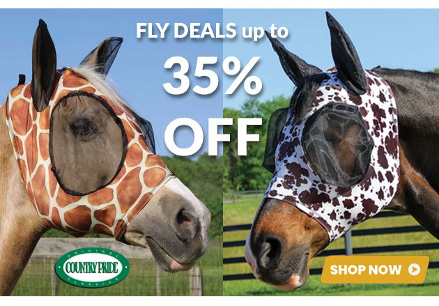 August fly wear sale