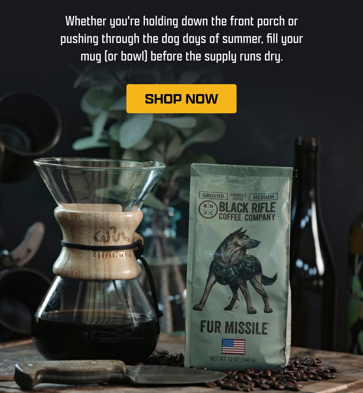 Whether you're holding down the front porch or pushing through the dog days of summer, fill your mug (or bowl) before the supply runs dry. | [ SHOP NOW ]