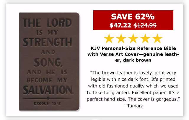 KJV Personal-Size Reference Bible with Verse Art Cover