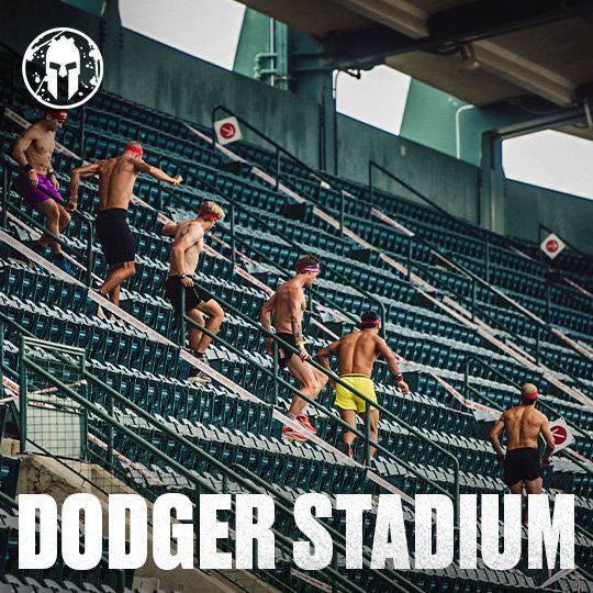 dodger