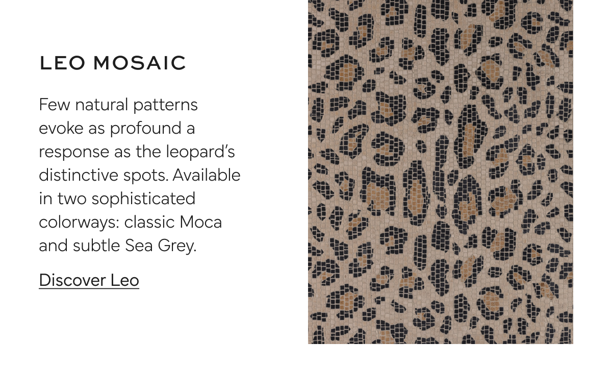 Artistic Tile | Leo Mosaic