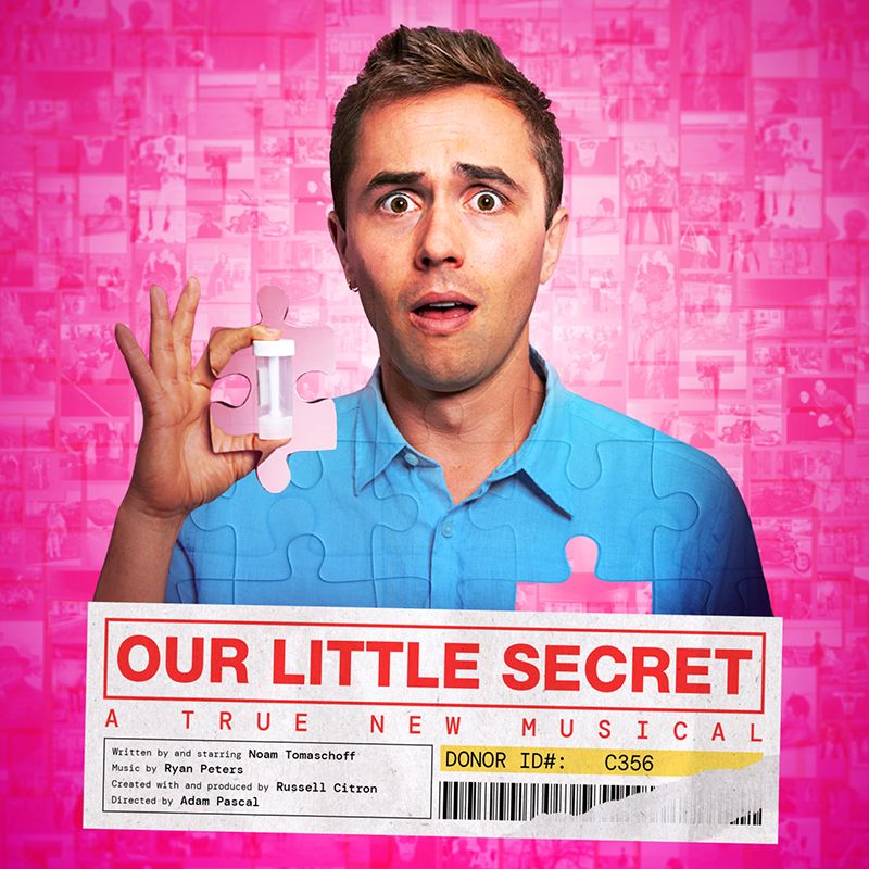 Our Little Secret Poster