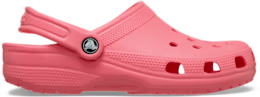 Classic Clog - Guava