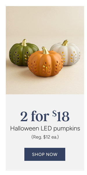 LED Pumpkin Special Price 2 for $18 (reg. $12 ea)