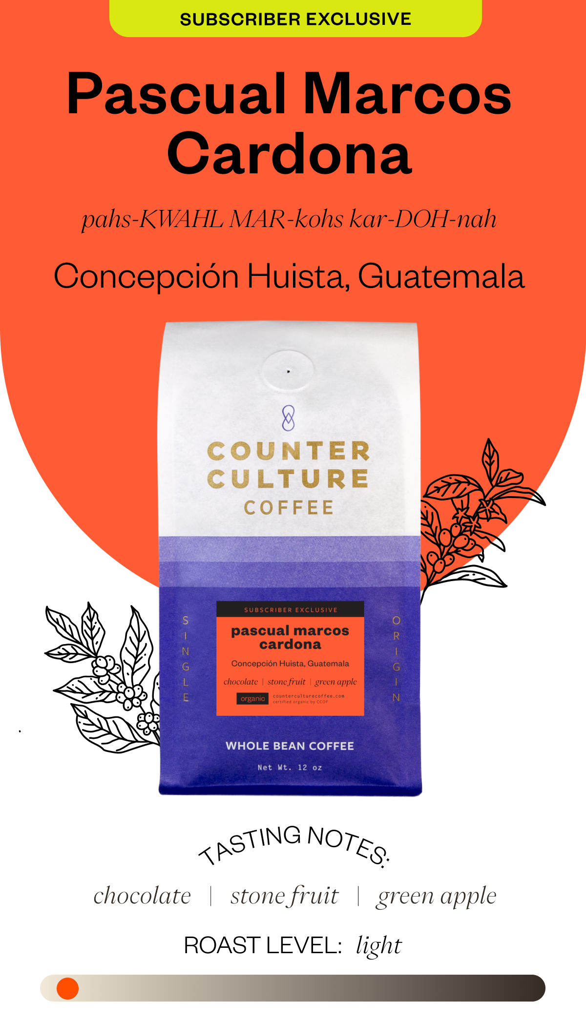 Subscriber Exclusive Pascual Marcos Cardona Pronunciation: pahs-KWAHL MAR-kohs kar-DOH-nah Concepción Huista, Guatemala.  Tasting notes: chocolate stone fruit green apple Roast level: Light 