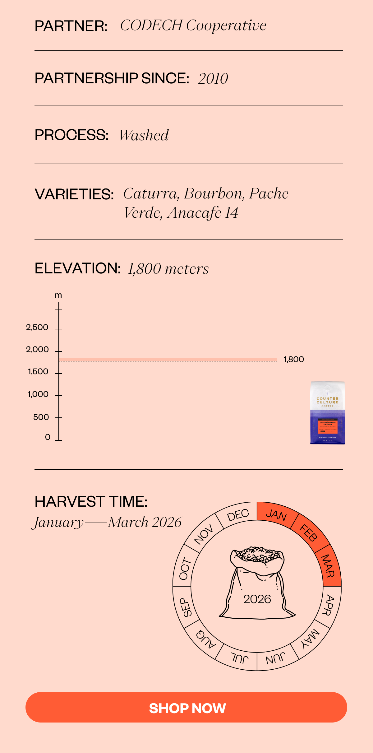 Partner Name: CODECH Cooperative. Length Of Partnership: 2010.Process: Washed Elevation: 1800 Meters Varieties: Caturra, Bourbon, Pache Verde, Anacafe 14 Harvest Time: January–March 2026 SHOP NOW
