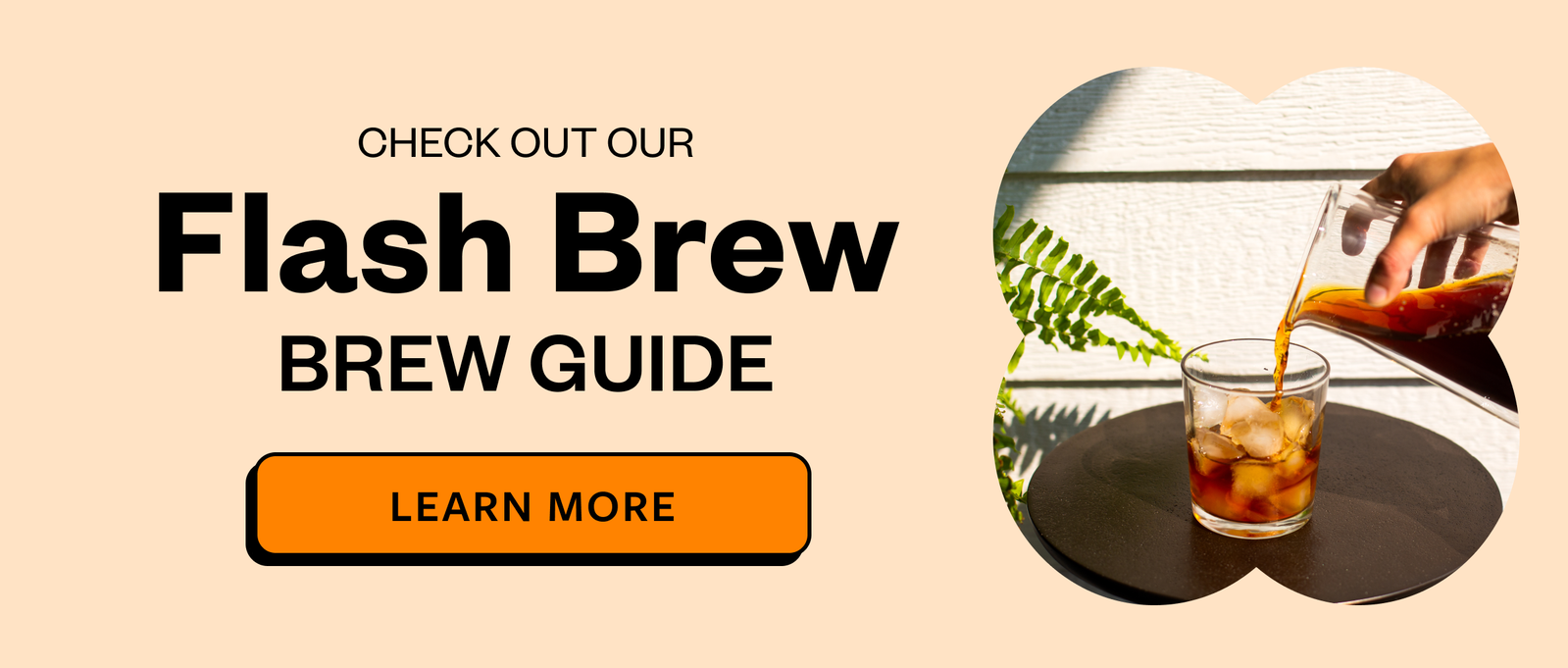 Check out our Flash Brew Brew Guide Learn More 