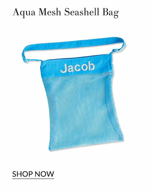 Aqua mesh seashell bag
