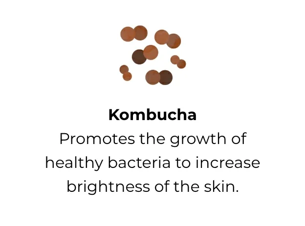 Kombucha: Promotes the growth of healthy bacteria to increase brightness of the skin. 