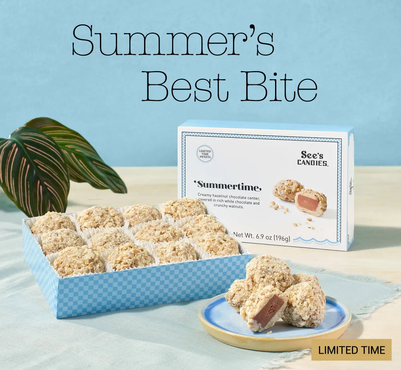 Limited Time: Summer’s Best Bite - Summertime