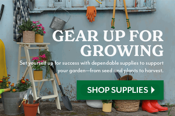 GEAR UP FOR GROWING