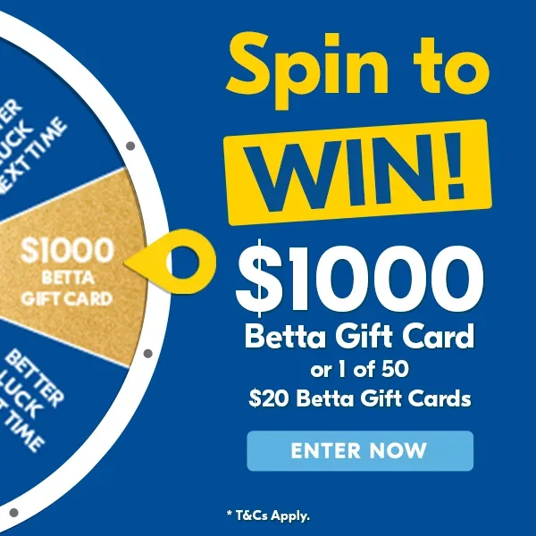 Spin to Win