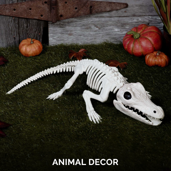 Animal Decor