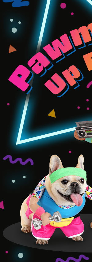Work Out 1980s Costume for Pets