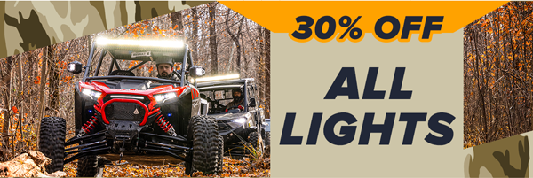 30% off all Lights