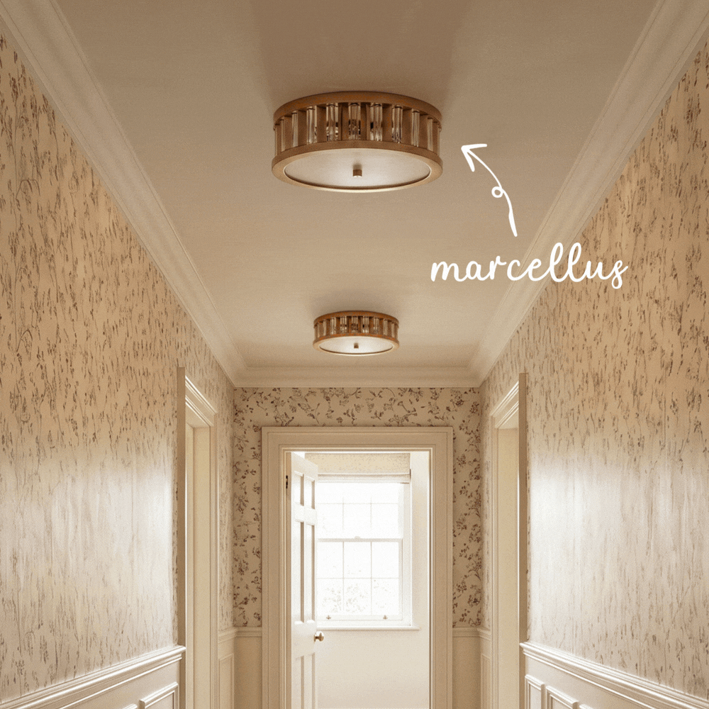 marcellus flush mount ceiling light in brass and frosted glass