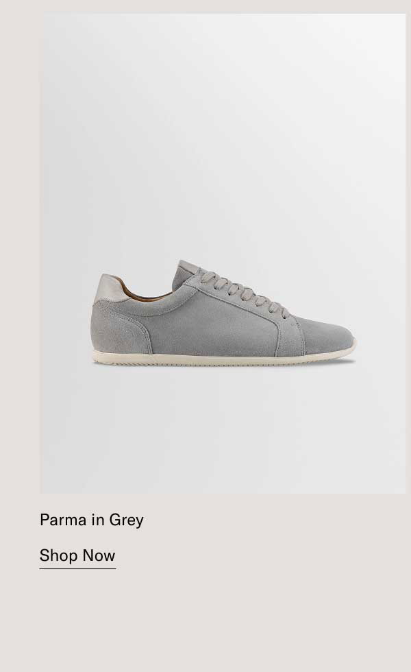 Parma in Grey