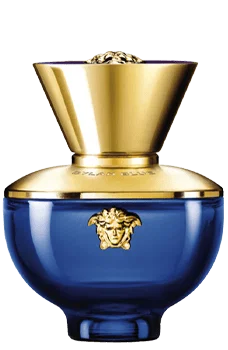 Versace Dylan Blue
